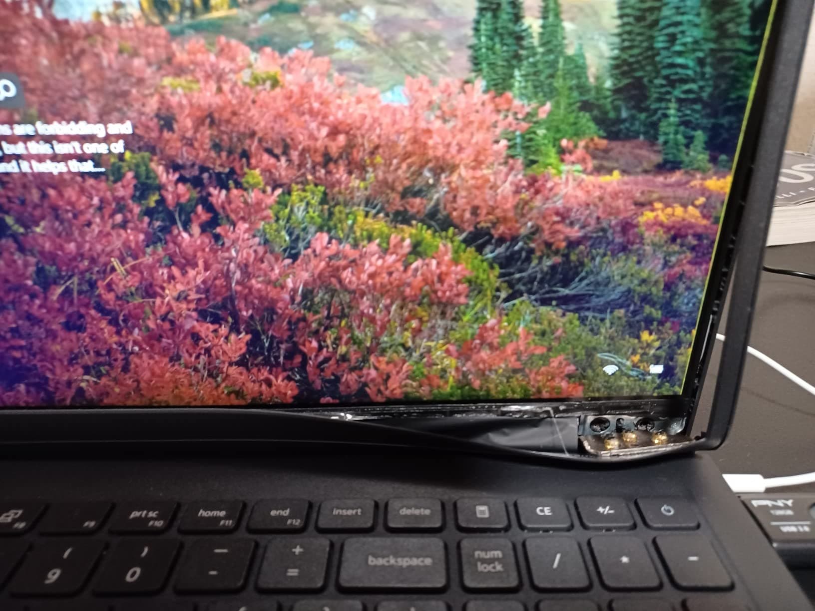 Inspiron Inspiron 15 3501